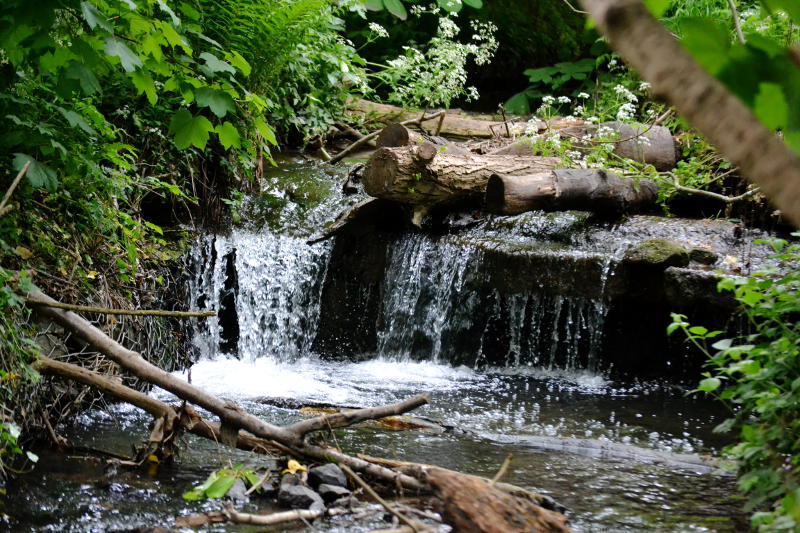 One of a cascade of 3 waterfalls on Merritts Brook in Manor Farm Park