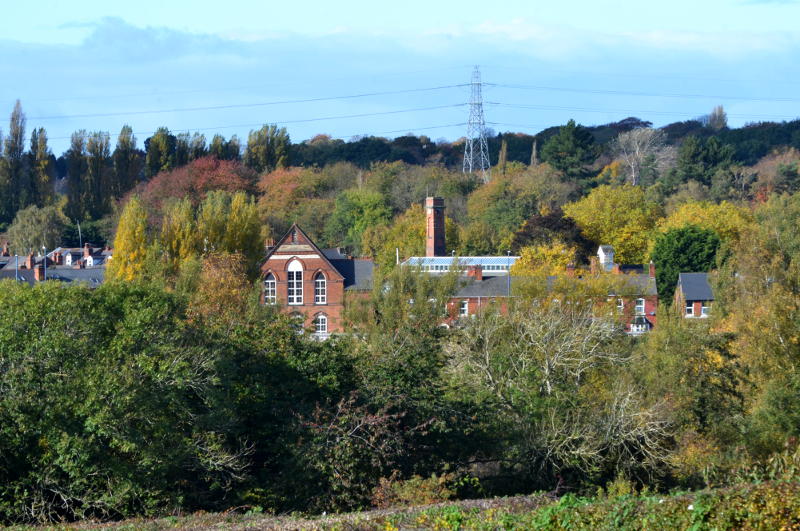 Distant view of Stirchley Baths surrounded by trees