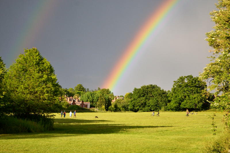 A bright rainbow over a park