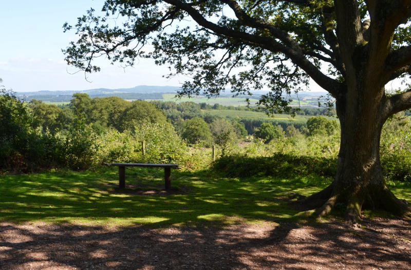A bench with a view over countryside
