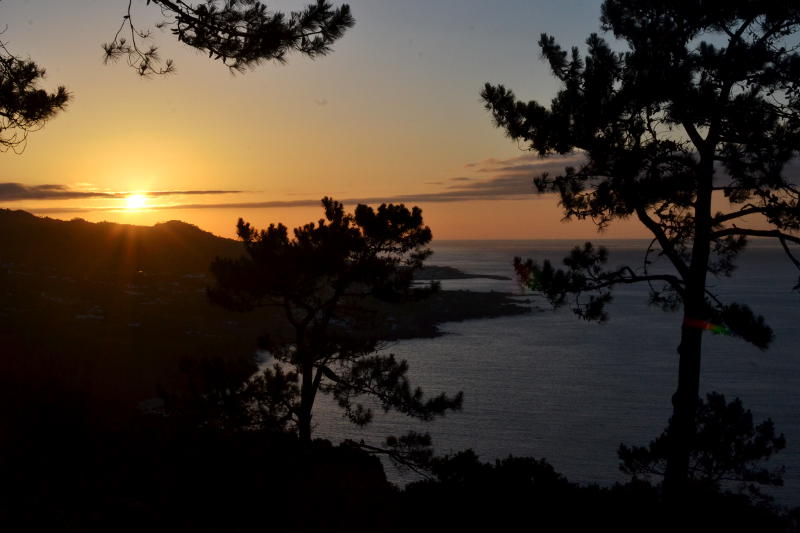 A sunset sky viewed through trees towards the sea