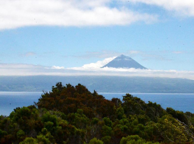 A mountain top sticking up through a layer of cloud