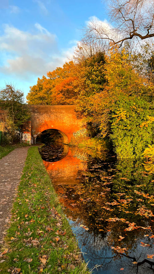 An old canal bridge fringed by trees with autumn colours