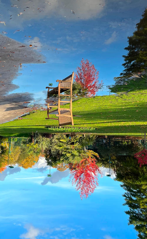 Image of a bench and trees in sunshine, with reflection in water