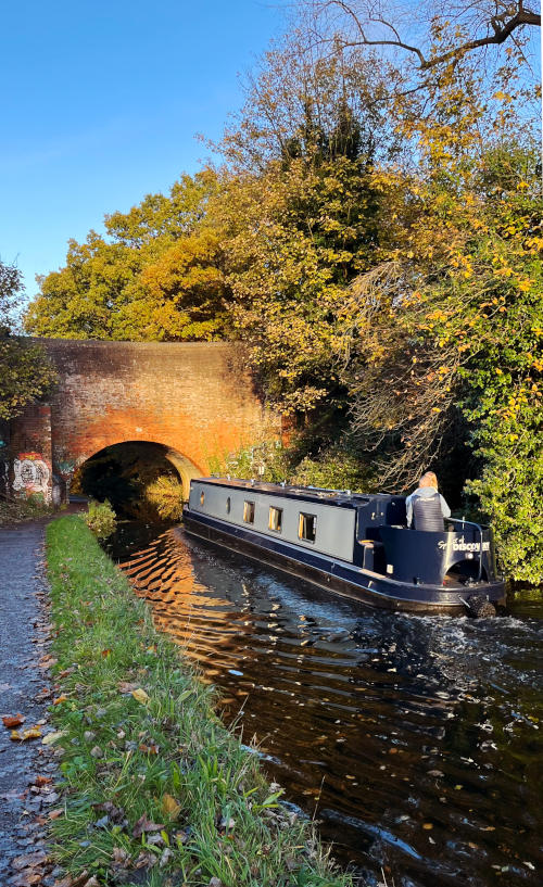 A canal boat approaching a brick bridge surrounded by bushes, in bright sunshine