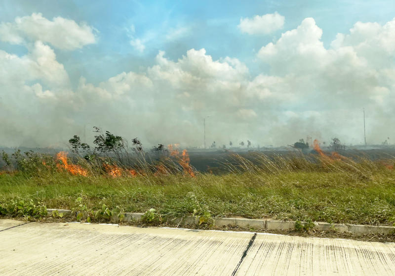 Looking sideways from a road towards grassland, with flames visible