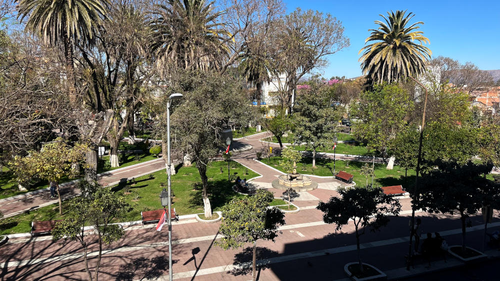 Looking down over a city square with pathways, palm trees and grass