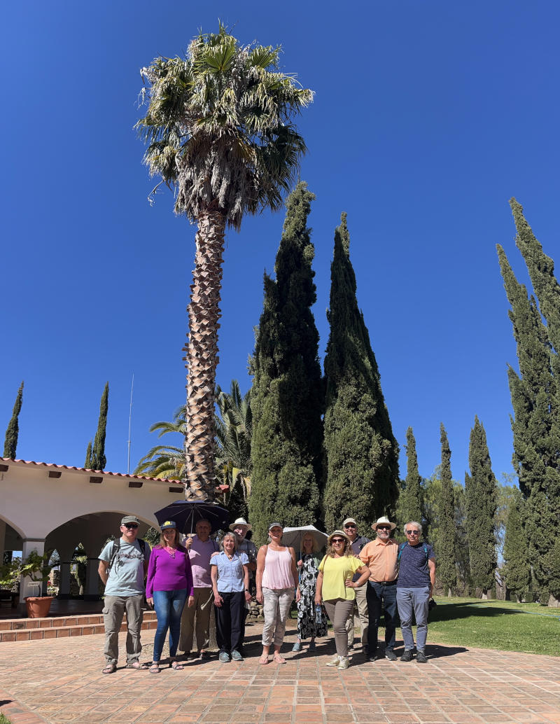 A group in front of tall trees in bright sunshine