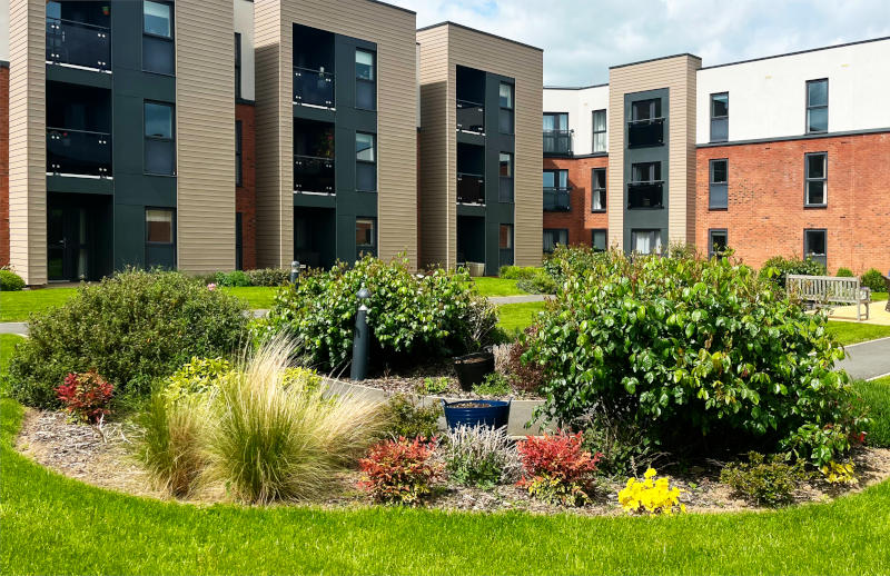 Bushes in a communal garden, with a modern 3-storey apartment building in the background