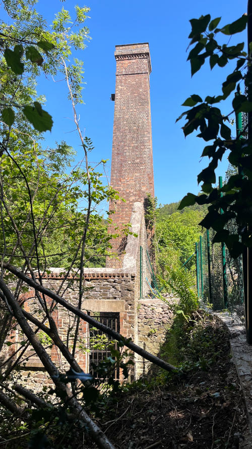 A tall chimney behind the remains of a brick building, among trees