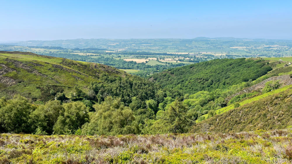 Looking down over a wooded valley, with countryside stretching to the horizon beyond