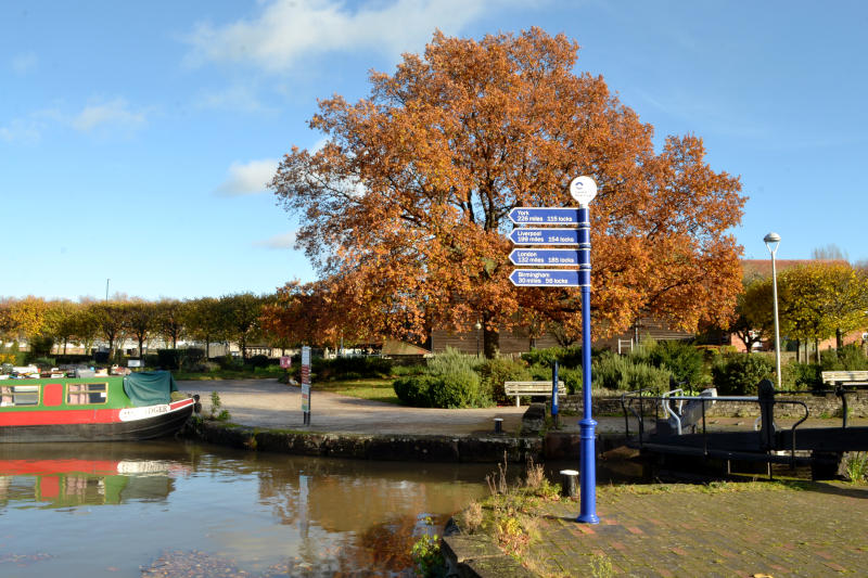 Canal signposts in front of a tree with golden leaves beside a canal