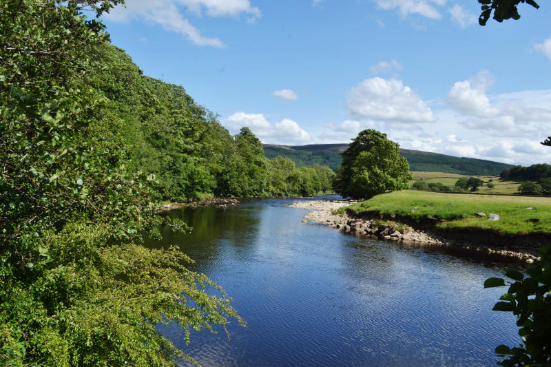 A river with blue water winding between trees (left) and fields (right)