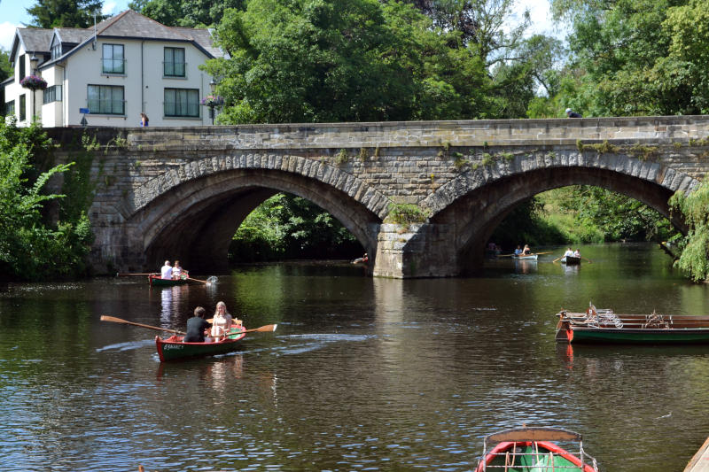 Rowers on a wide river near an arched bridge