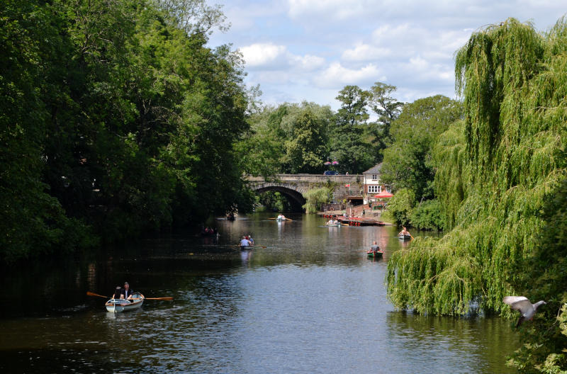 A arch bridge over a river in the distance, with rowing boats on the river and a weeping willow tree on the right bank