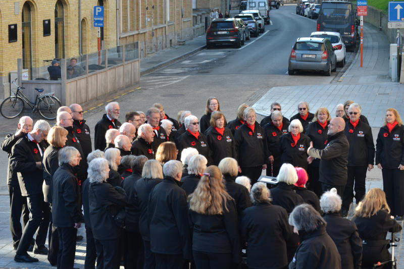 Choir members standing in a semicircle on a pavement around their conductor, James Llewellyn Jones