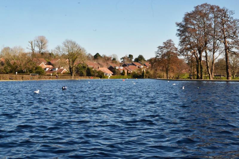 Low-down view showing small waves on a pond stretching into the distance. Modern houses are at the far end