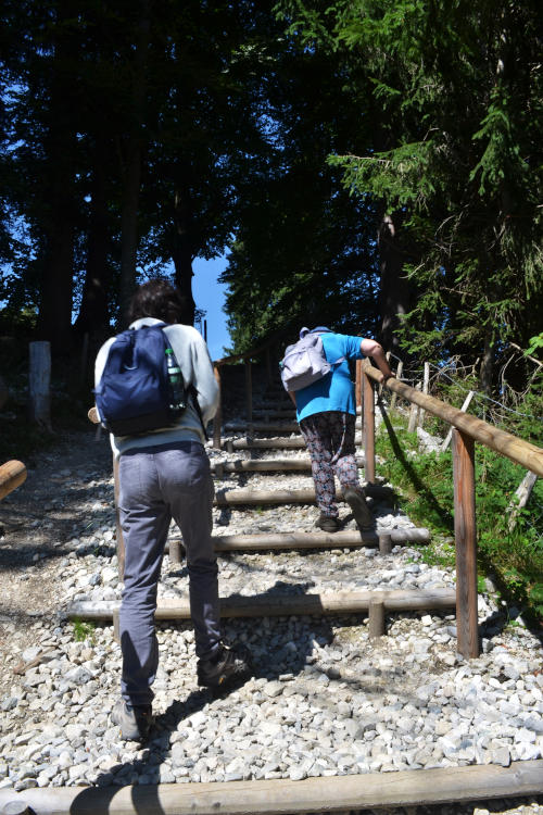 Martin and Miriam, backs to the camera, climbing a series of wide steps in a gravel footpath