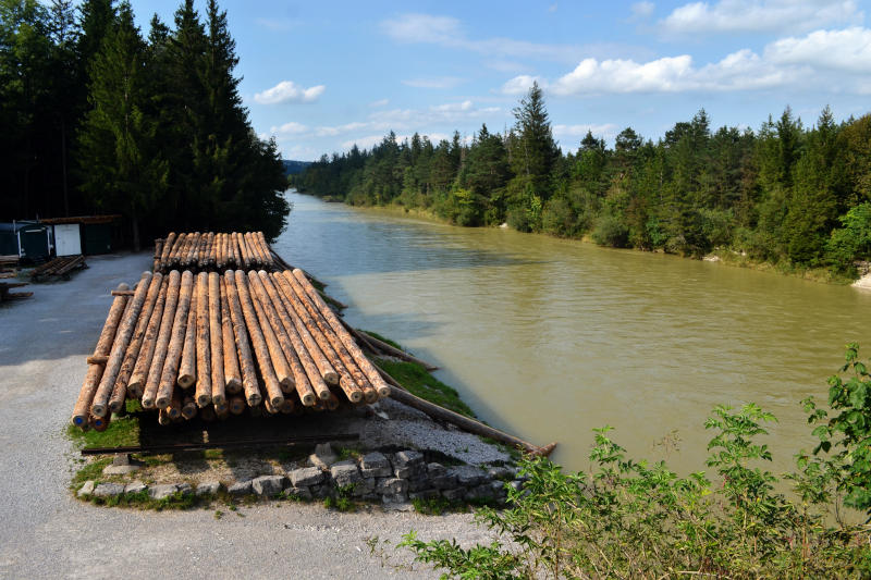 A pile of logs on the bank of a broad river, with trees behind on both banks