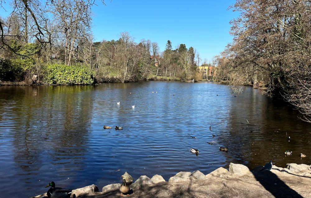 A blue lake surrounded by trees, with a rocky bank in the foreground